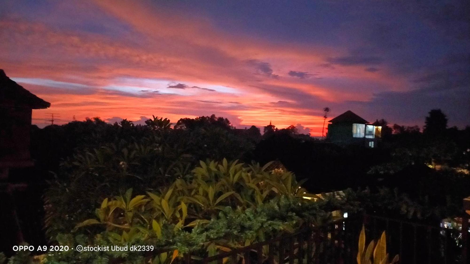 Danu House Ubud Eksteriør billede