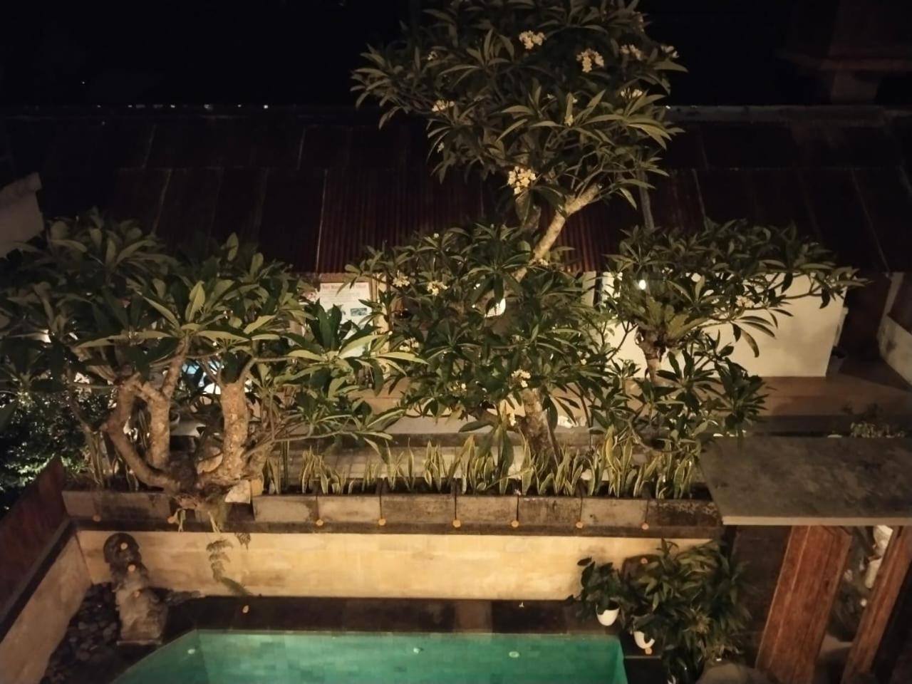 Danu House Ubud Værelse billede